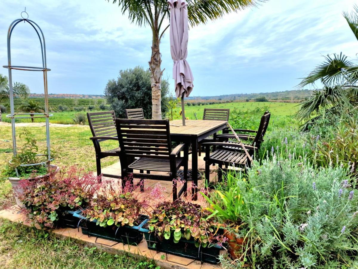 Quinta Do Bravo - Swimming Pool - By Bedzy Villa Silves Exterior photo